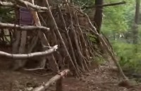Jeugdjournaal - Tips van boswachter Floris voor het bouwen van een hut