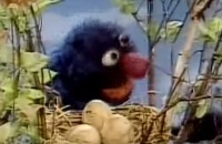 Sesamstraat - Grover - Eieren