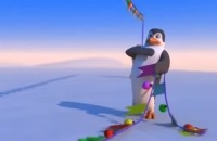 Schiffie en Co - Pinguindans