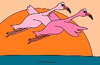 Digitaal prentenboek - Hallo Flamingo