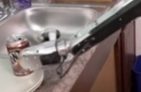 Robotdier doet de afwas