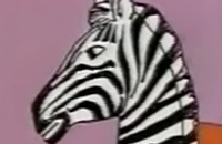 Zebra heeft de hik